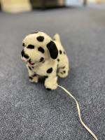 images/Dalmation_Reward.jpg