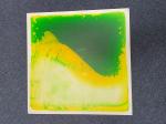 images/Squidgy_Panel_Yellow_-_Green.jpg