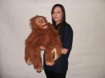 images/toydatabase/T0045.jpg